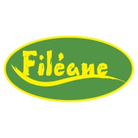 logo_fileane